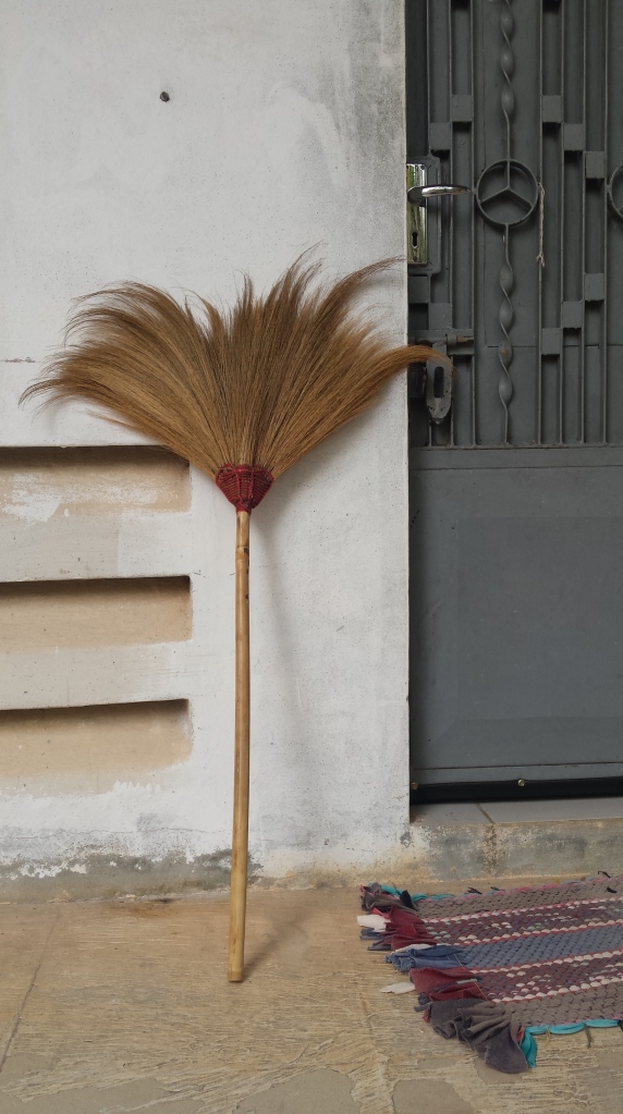 Brooms to clean our cells (and minds! ;) ) daily